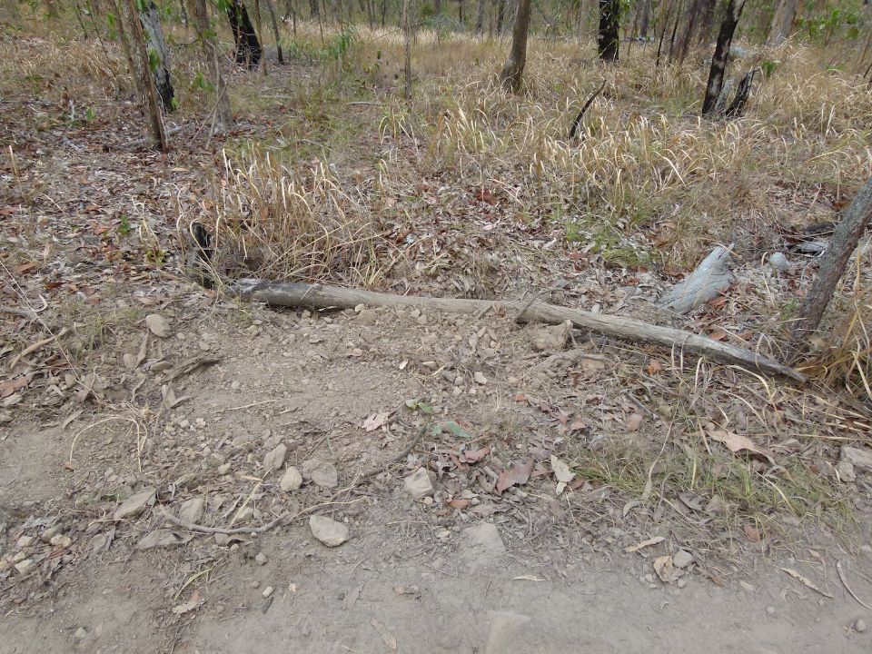 Soil added to an old trail closure