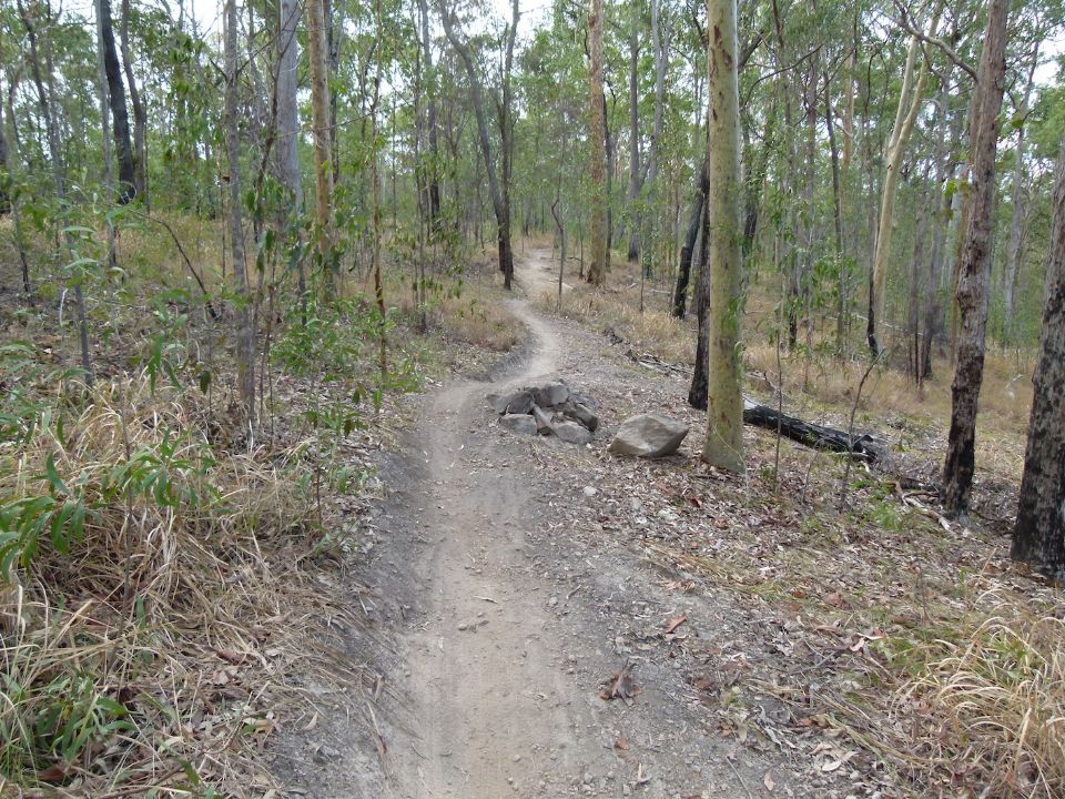 Final line looking up from way point 44