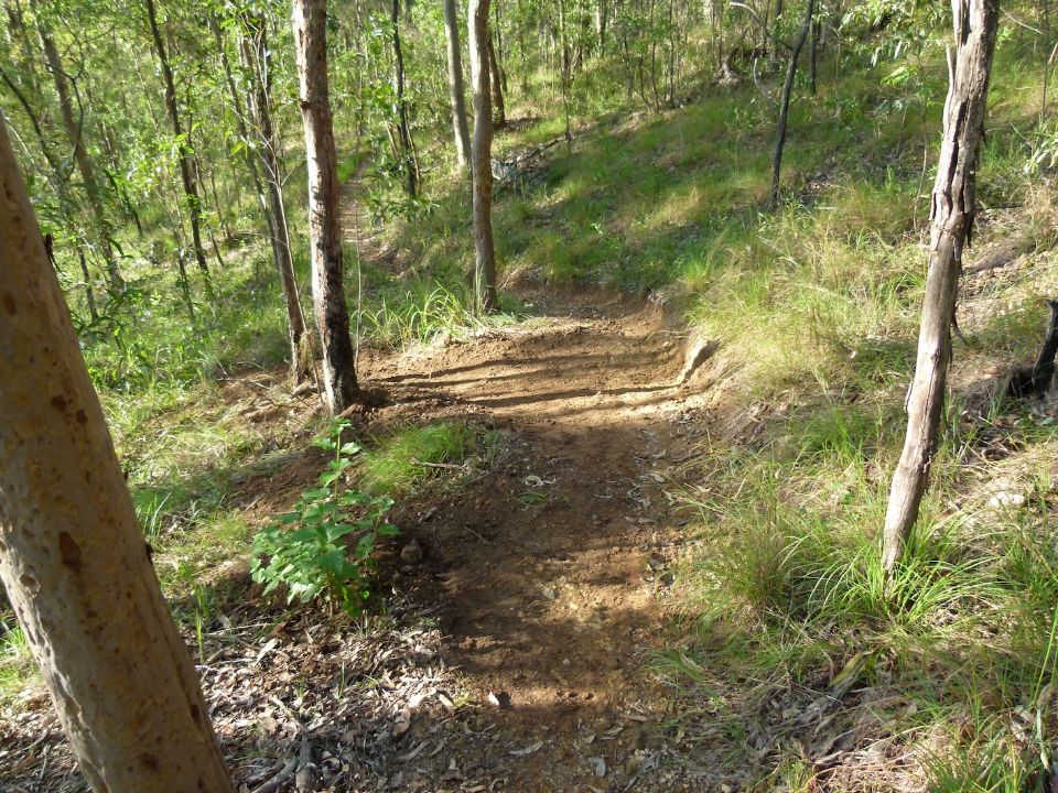 Water can now leave the trail