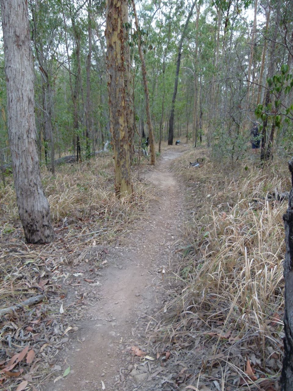 Leading towards a steeper section - drains added