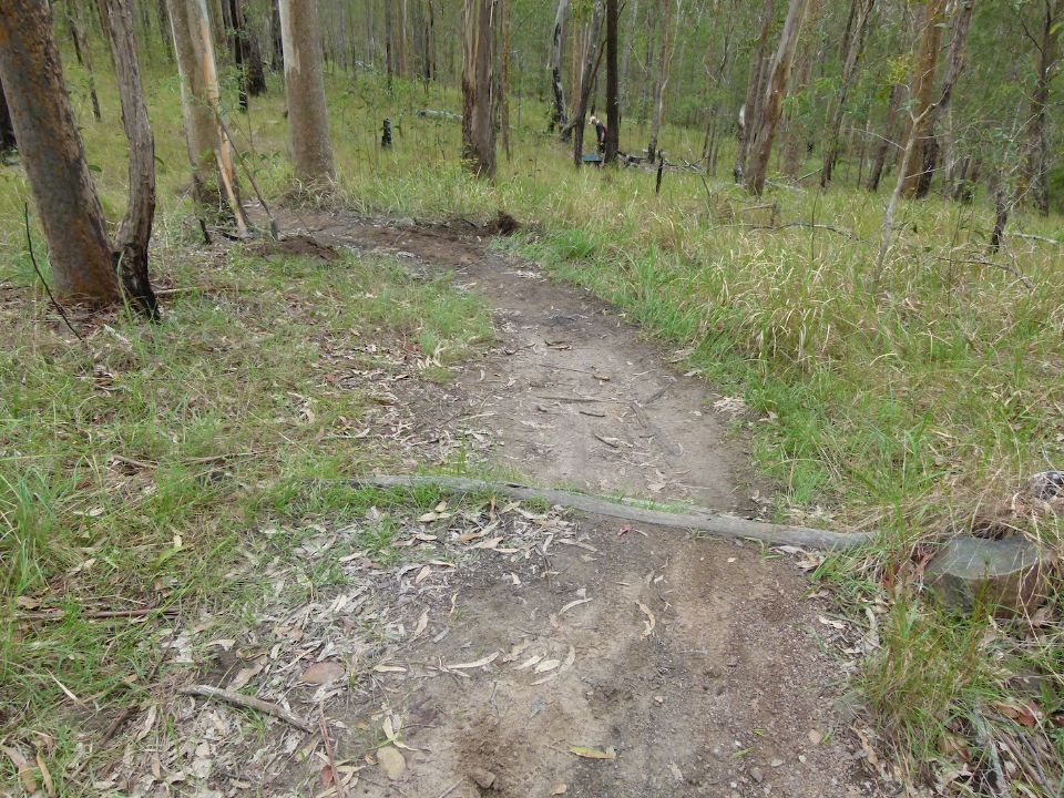 An old log-over above a poorly drained section of tail