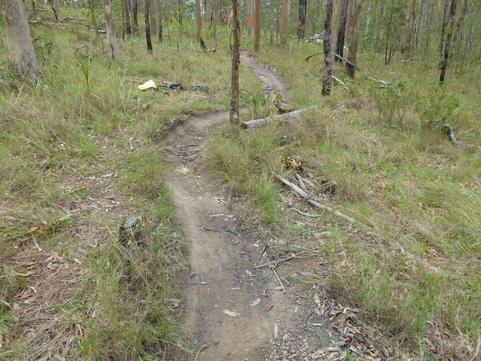 Exposed roots, subsoil water causing a wet-clay puddle and a stump to fall on