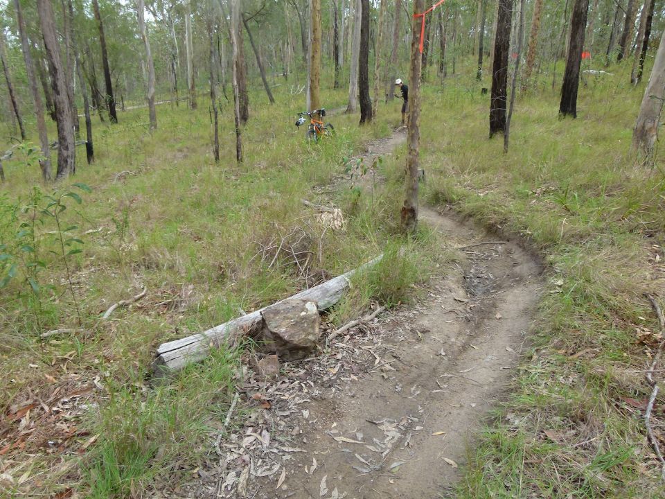 Old trail line