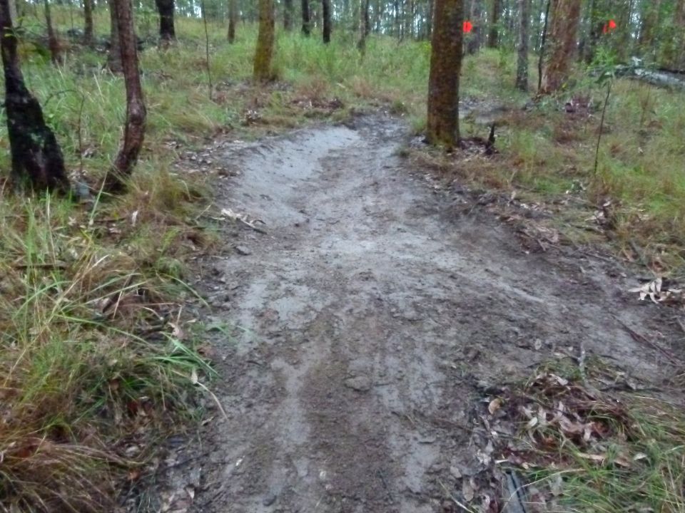 Roots covered, a new line to climb and descend and a new drain