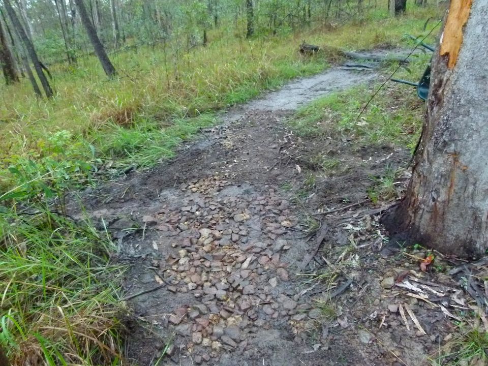 Embedded small stones - more under the fresh dirt
