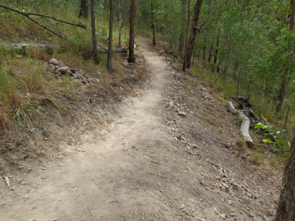 Clearing stones and some of the dead timber improves the feel of the trail