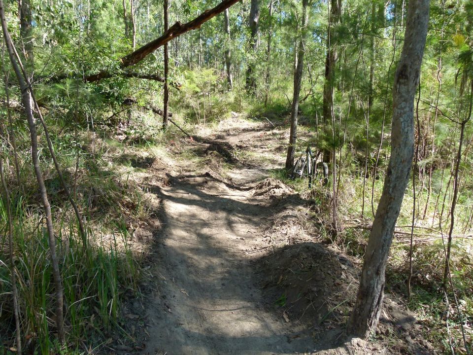 New trail line and stored debris for trail closure