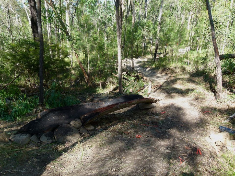 Rainbow skinny over a troublesome, boggy, seasonal creek