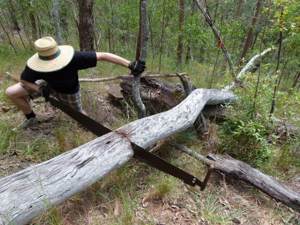 A complex pile of fallen timber over the trail line