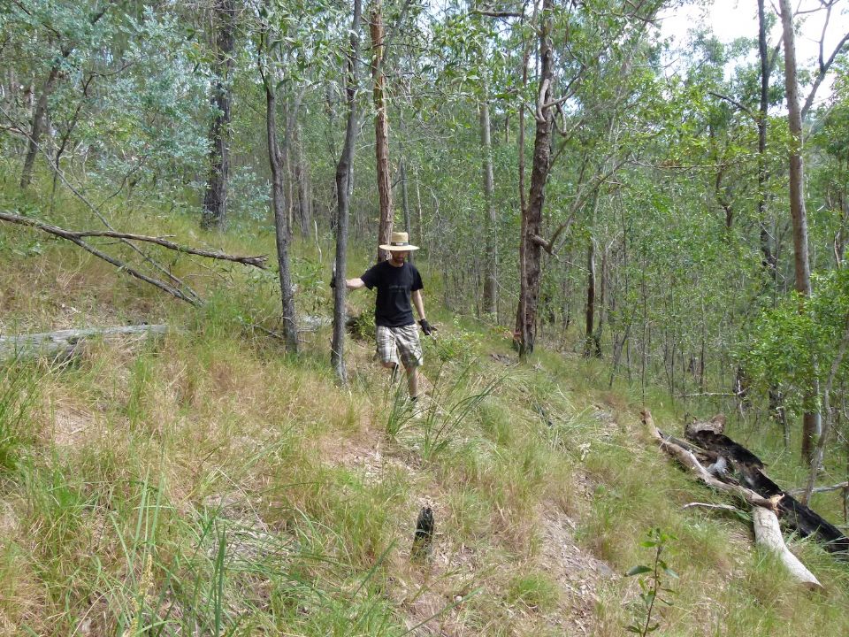 A clear line after some saw work