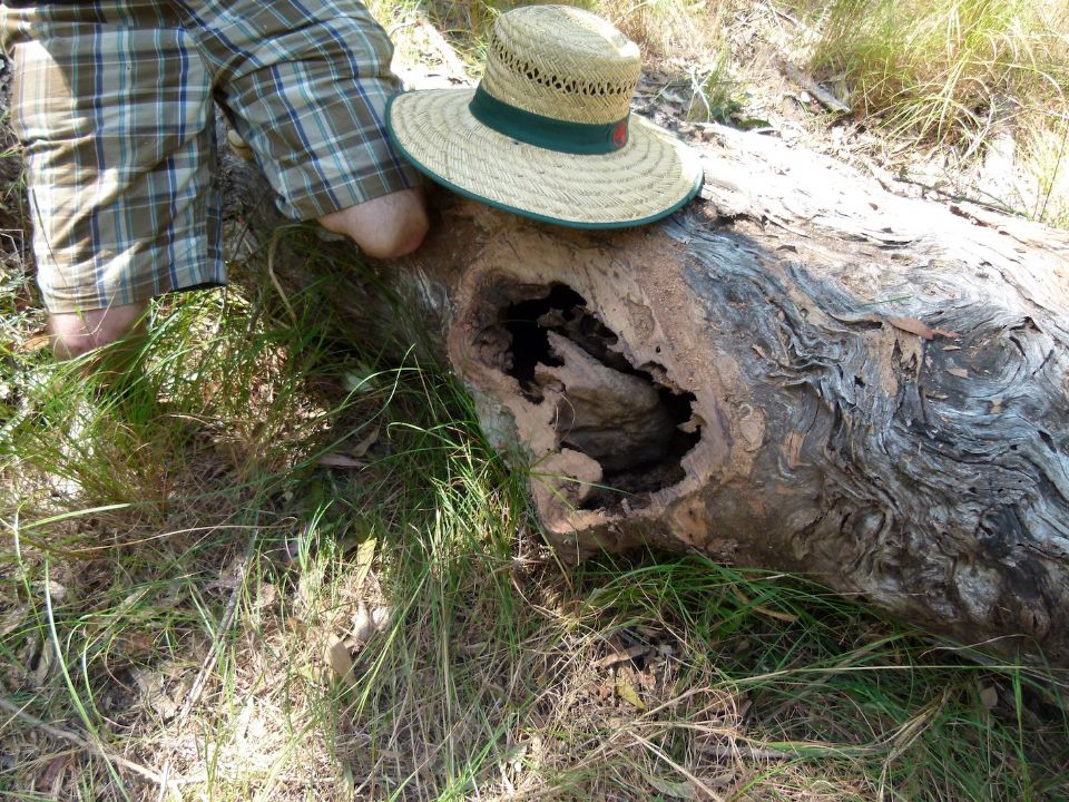 Rocks and fill will create an entry onto this log skinny