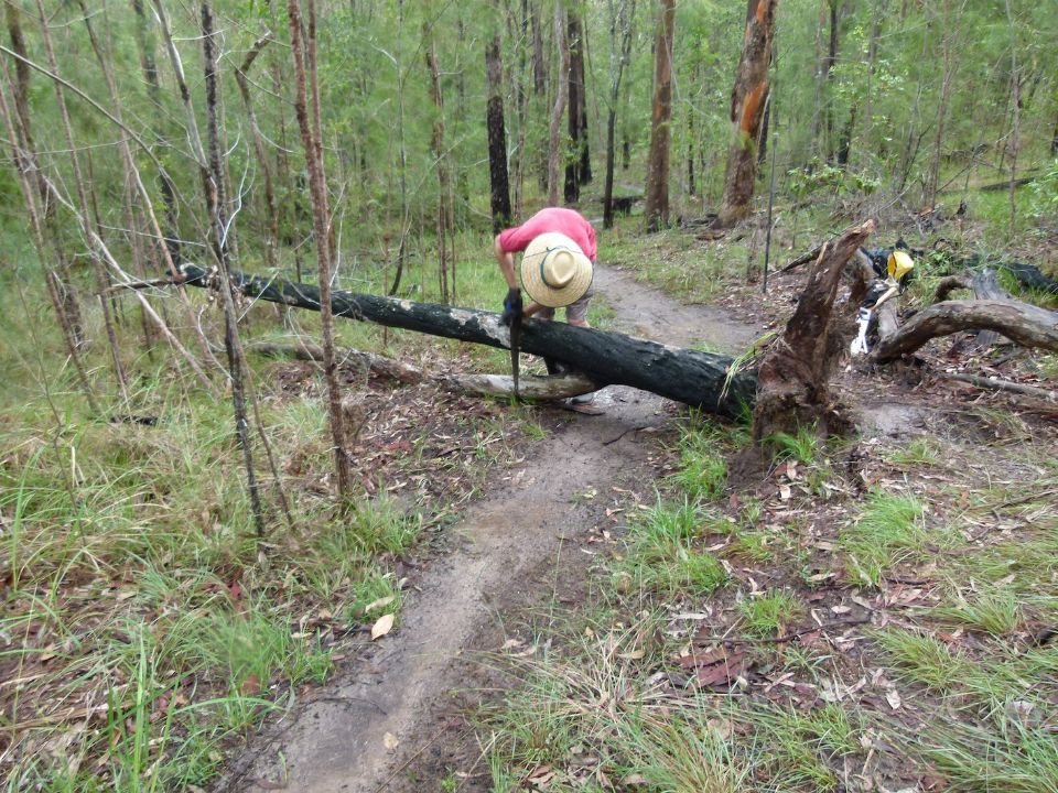 First cut off the heavy bits and then move it