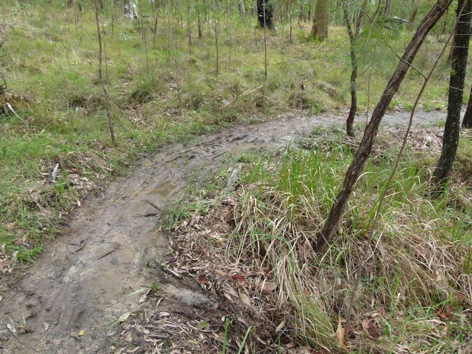 A problem muddy creek crossing