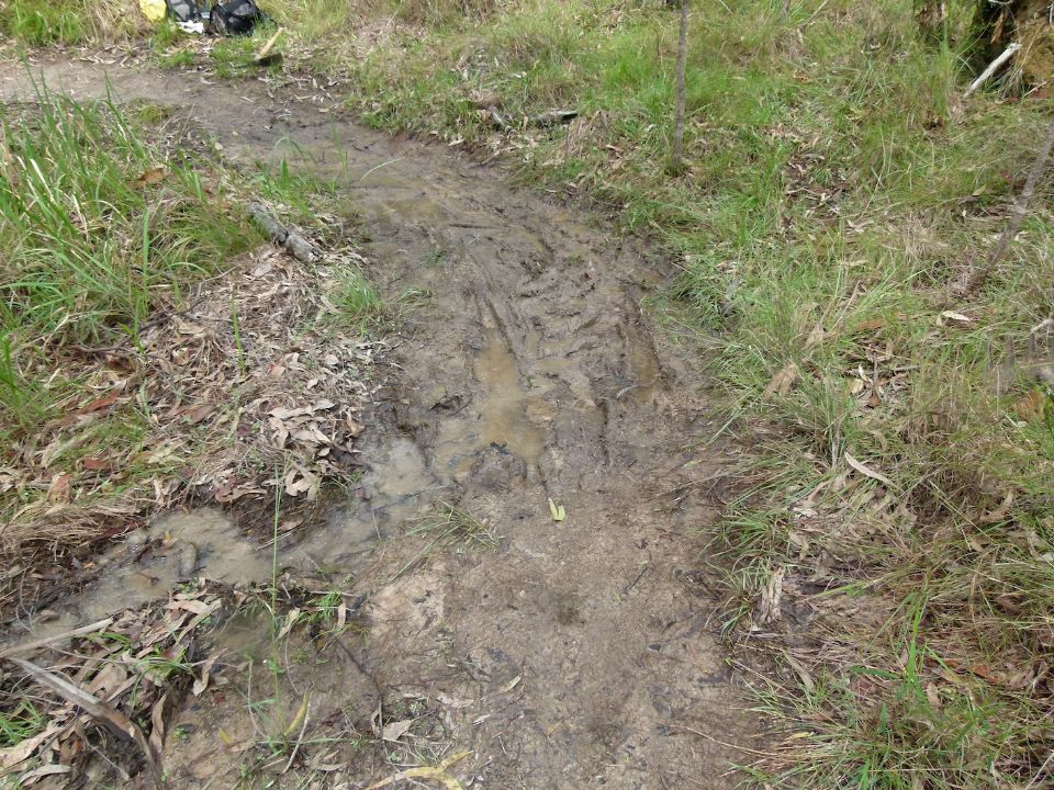 Deep mud looking better than it should
