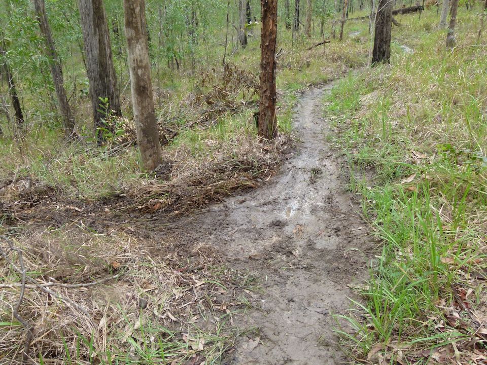 Better drainage