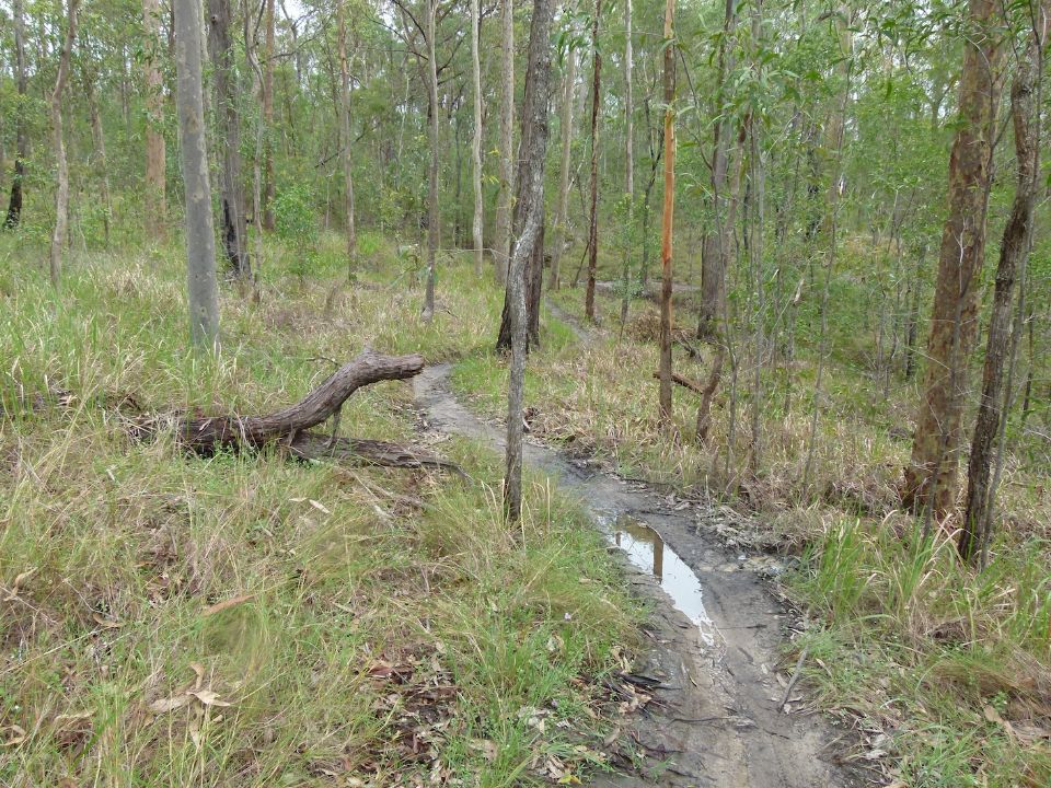 A longstanding puddle