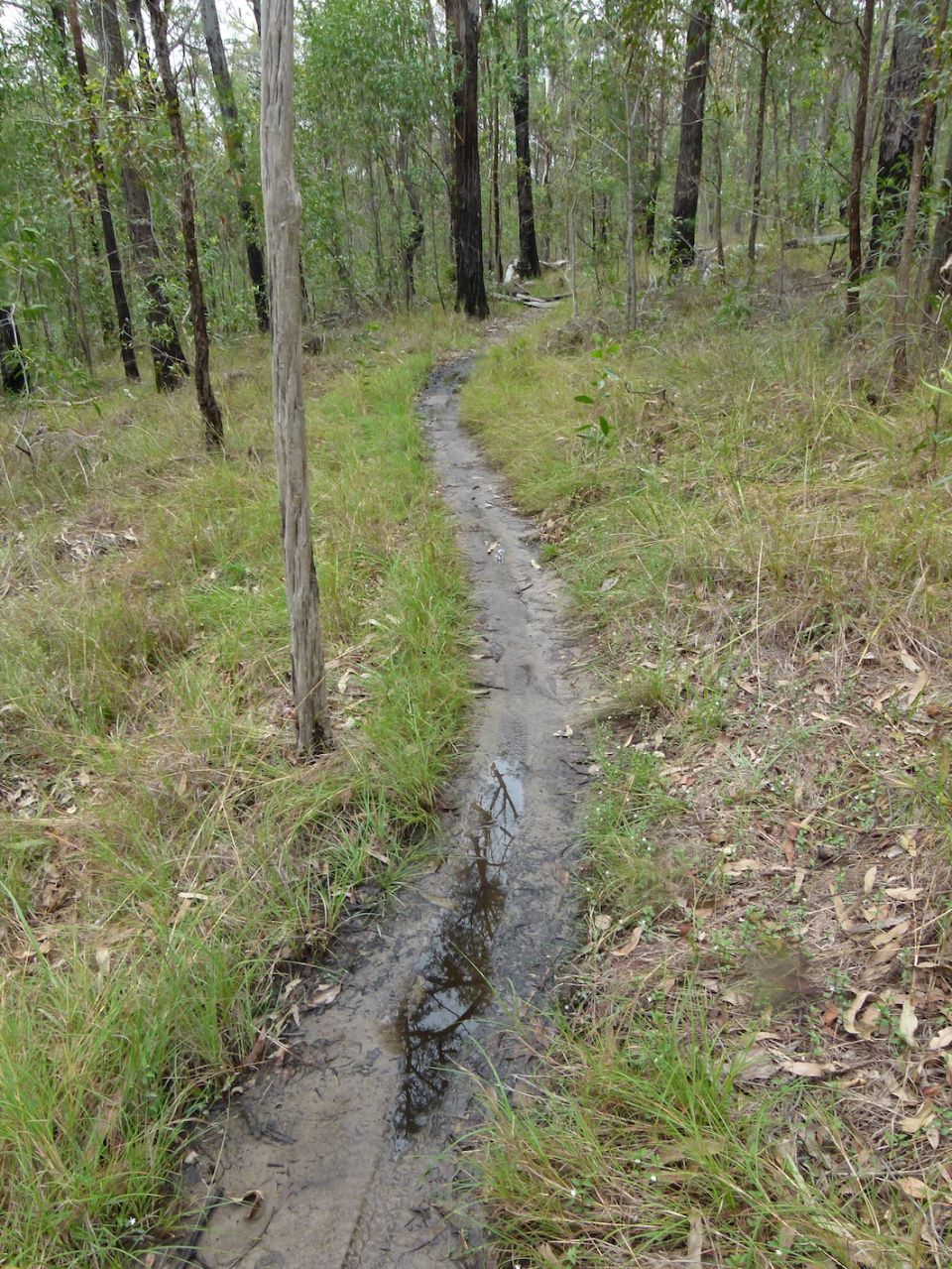 Simple trail can be made better than this