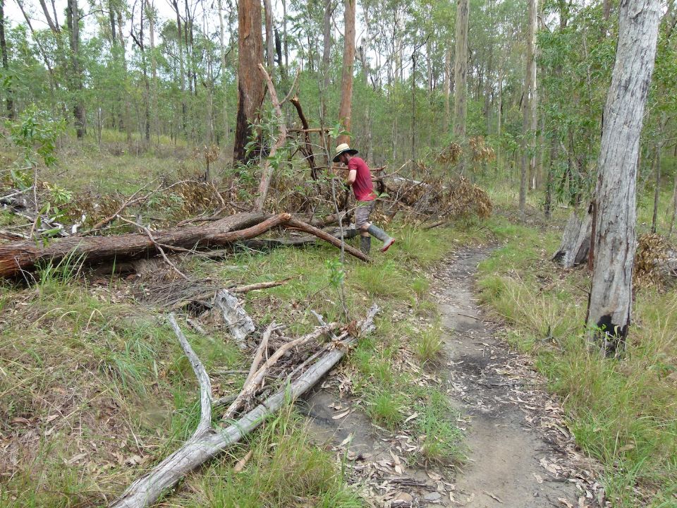 Cutting off limbs to add to an old trail closure and improve the trail feel