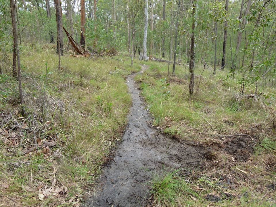 Looking back at a few new drains