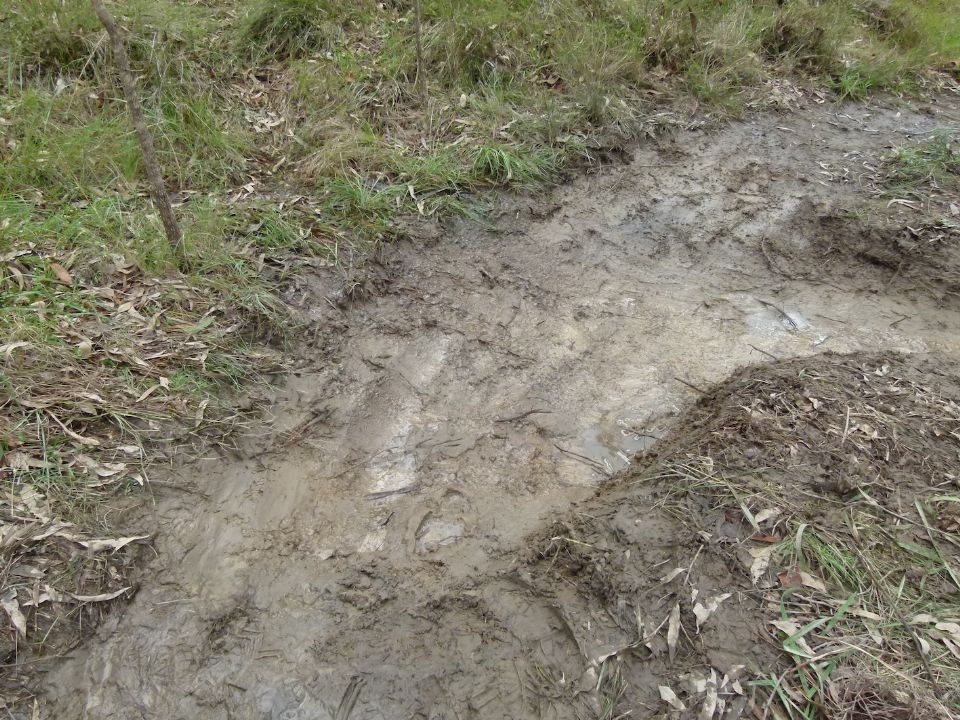 A deep drain - is it deep enough?