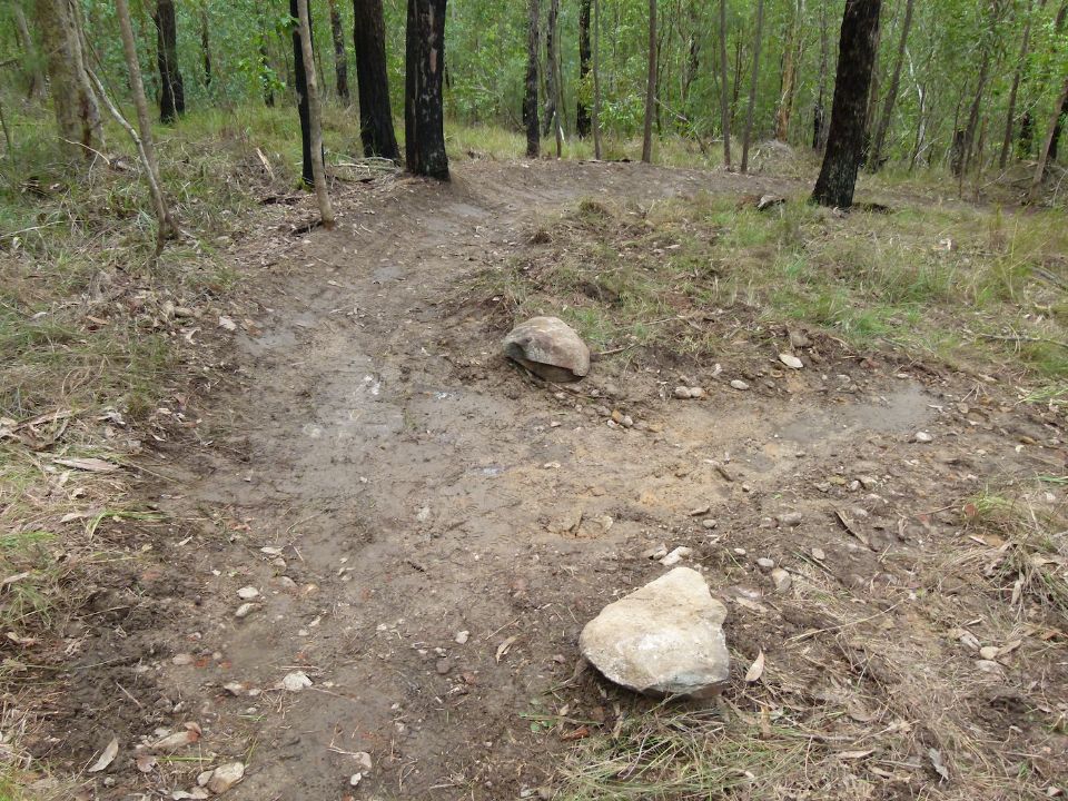 P1100808.jpg