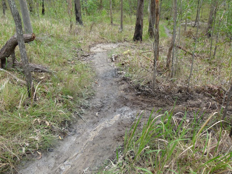 Better drainage and a good riding line
