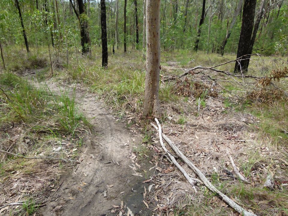 Another old trail closure needing help