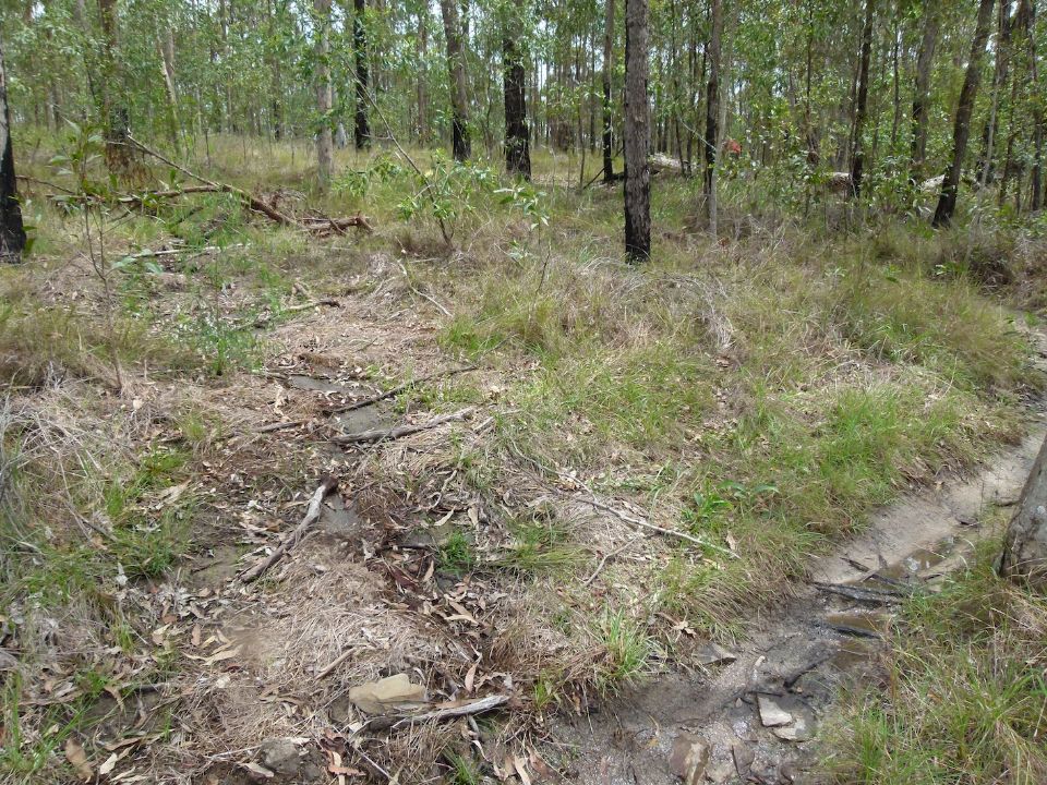 Second old trail line from below
