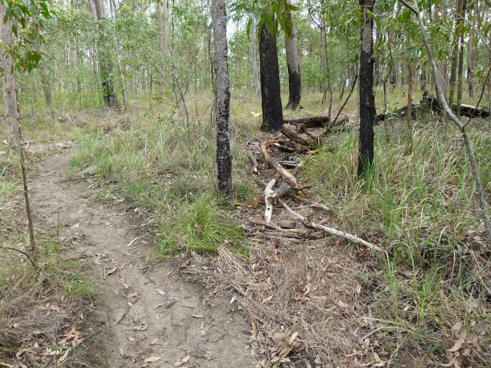Old trail 1 from below