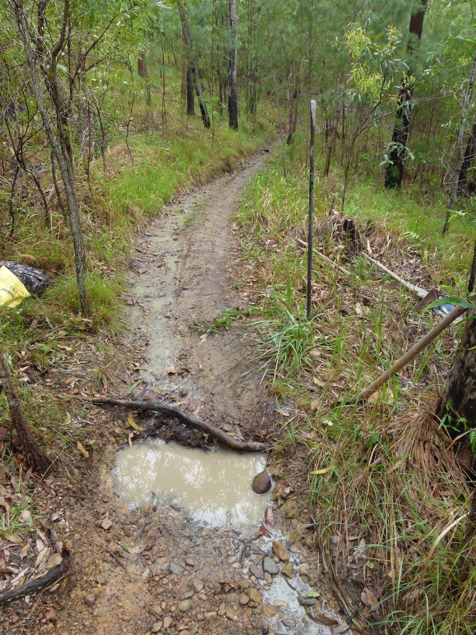 Water flowing over widened trail