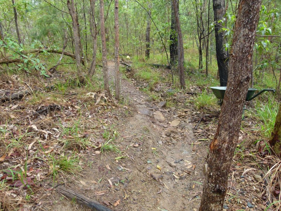 Erosion gully overwhelms trail