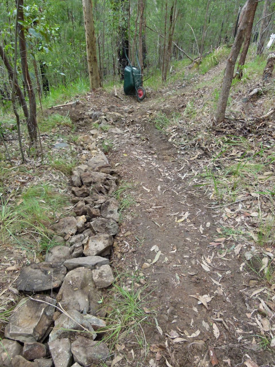 Tree removed and now an obvious drainage line below the filled gully