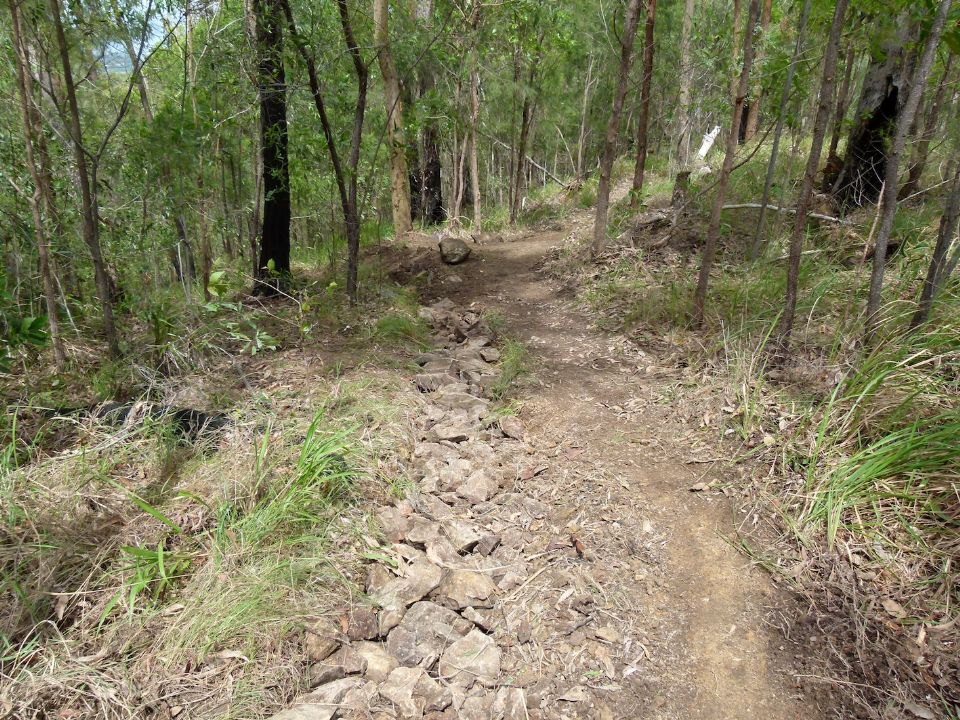 New line and a high point where there was a low