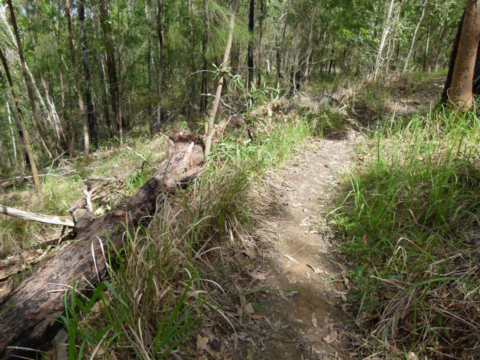 It was big and near to the trail