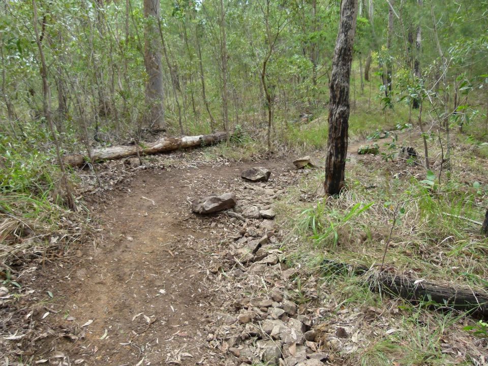 New line protects exposed roots and erosion gully