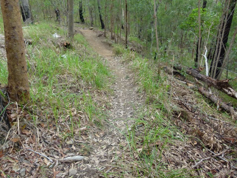 Going up trail it looks good