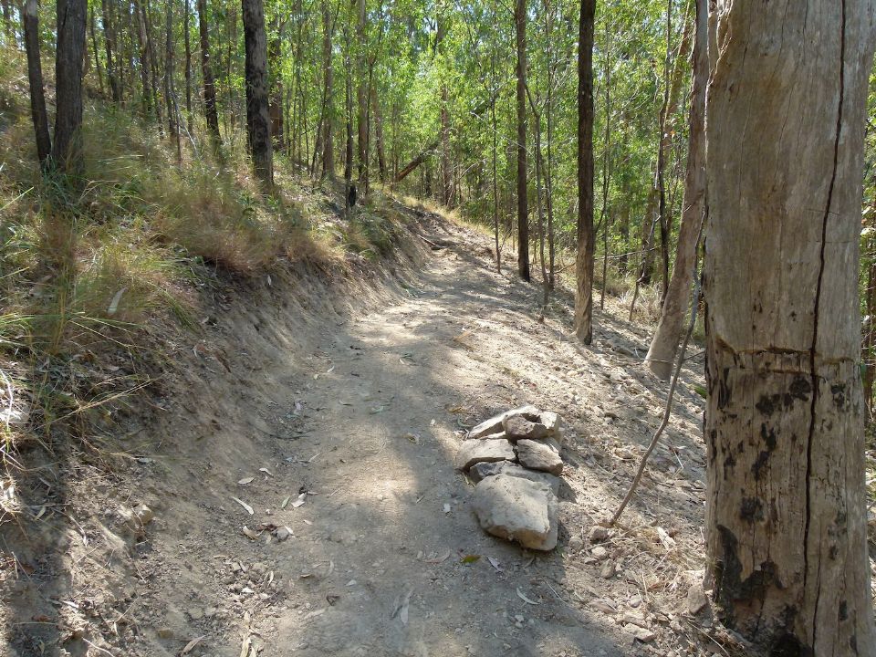 We left off here.  The fallen tree in the distance was our concern