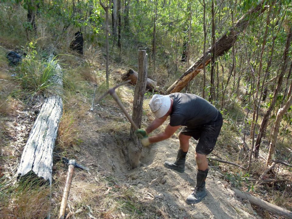 A tough little stump