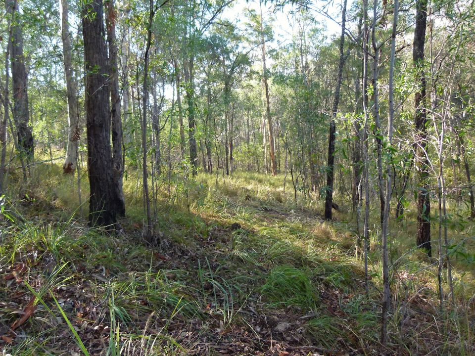 Approaching lovely kangaroo grass fields near the top of the valley
