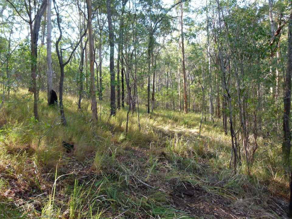Beautiful grasslands near the valley apex