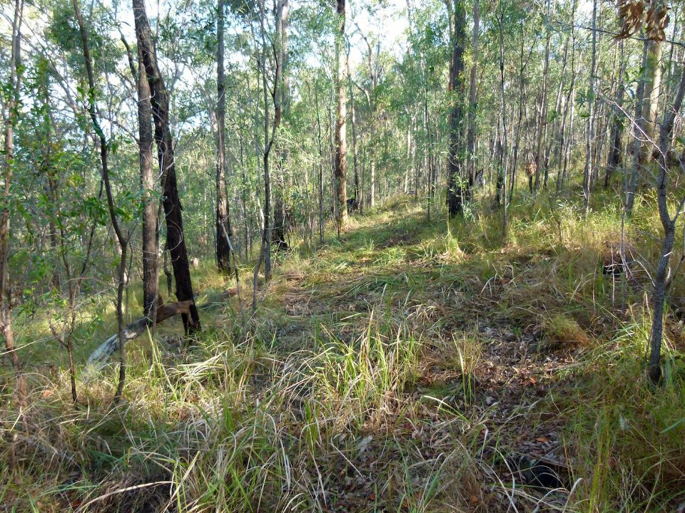 A future, flat section of trail leading to serious benching