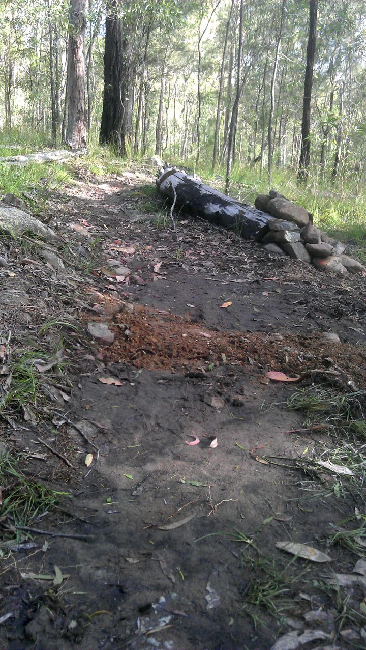 Rock Drain High
