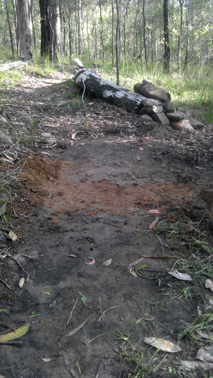 Rock Drain Level