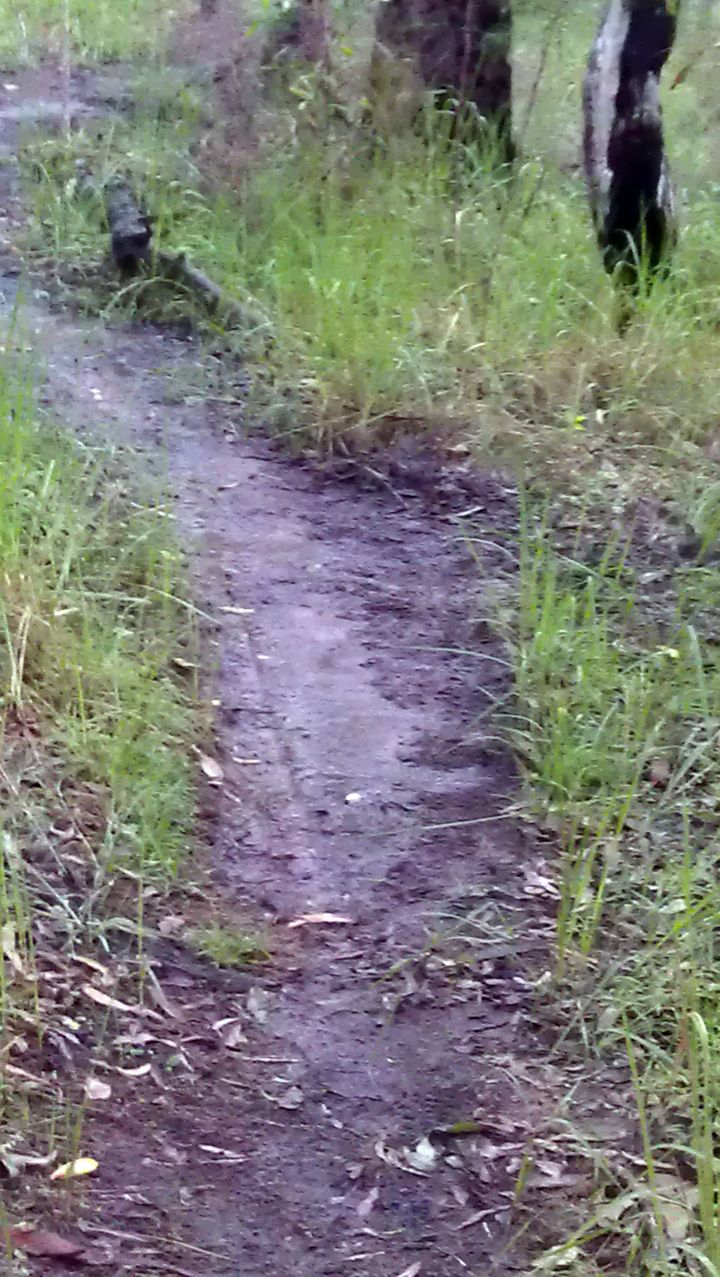Outslope Restored