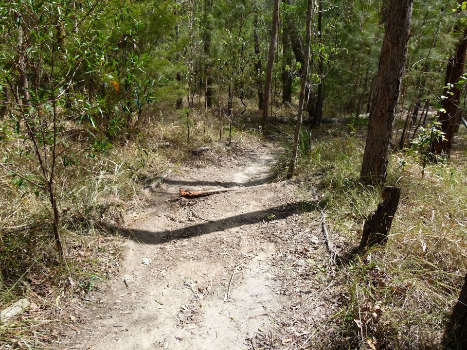 Paint is not an ideal way to mark trail obstacles on QPWS land