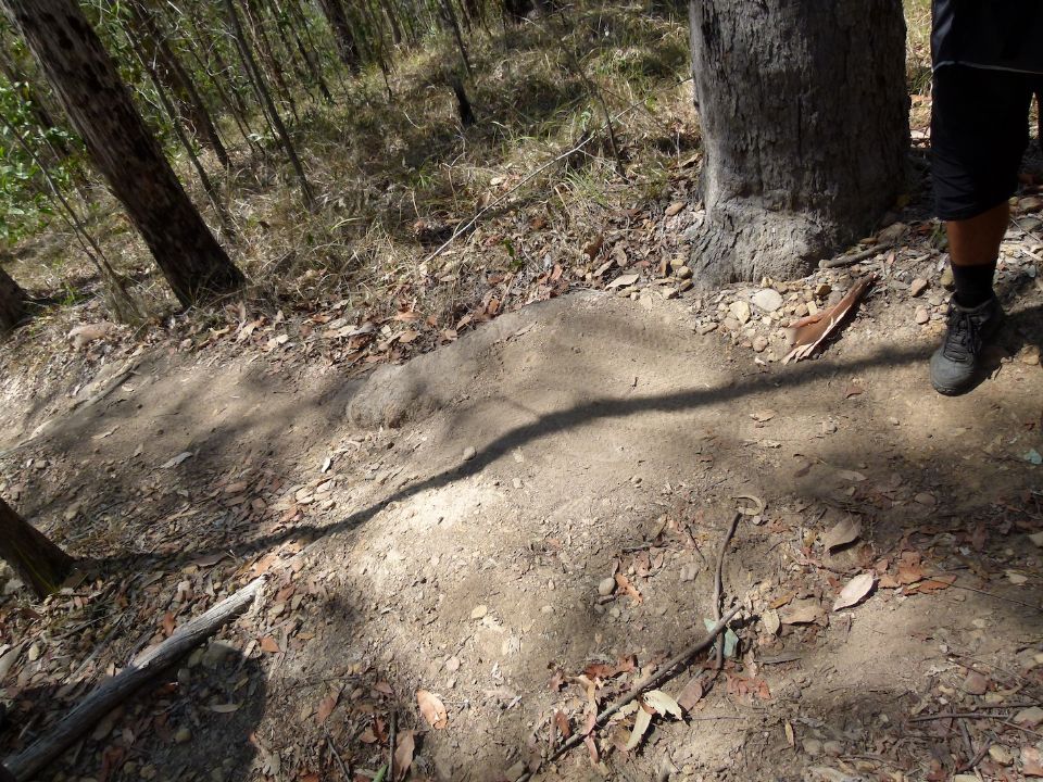 An inadequate repair over this rooty section