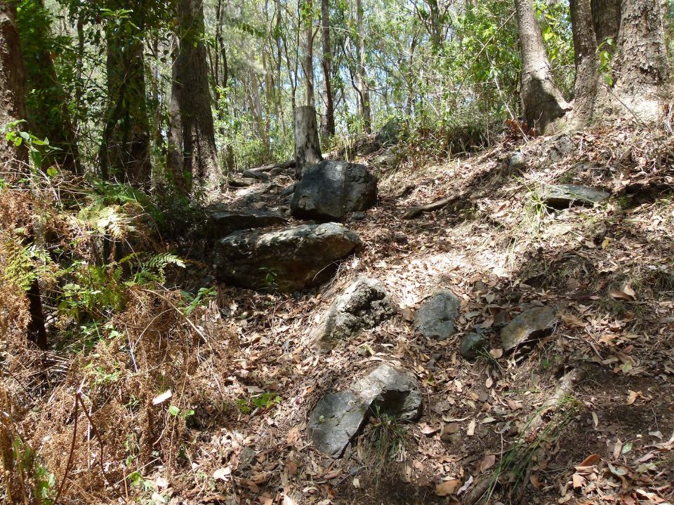 An alternate line lookers right of the stump would still be almost double black