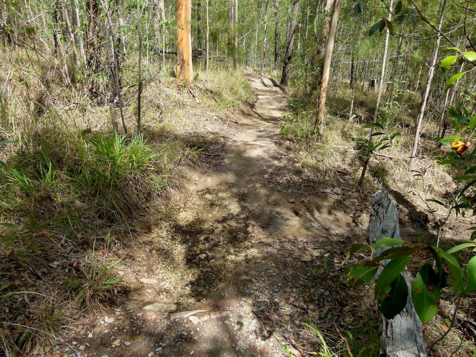 P1130680.jpg