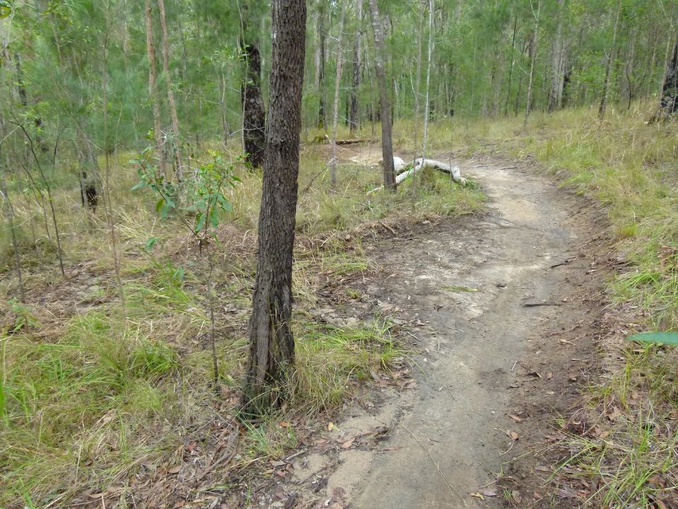 P1130715.jpg
