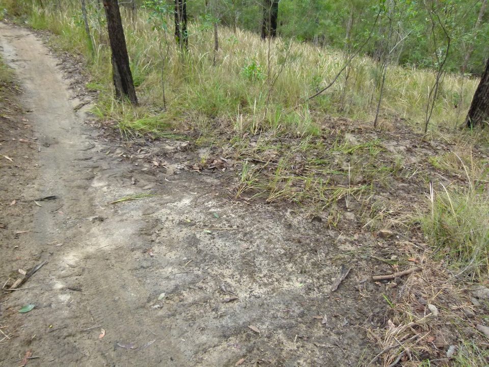 P1130716.jpg